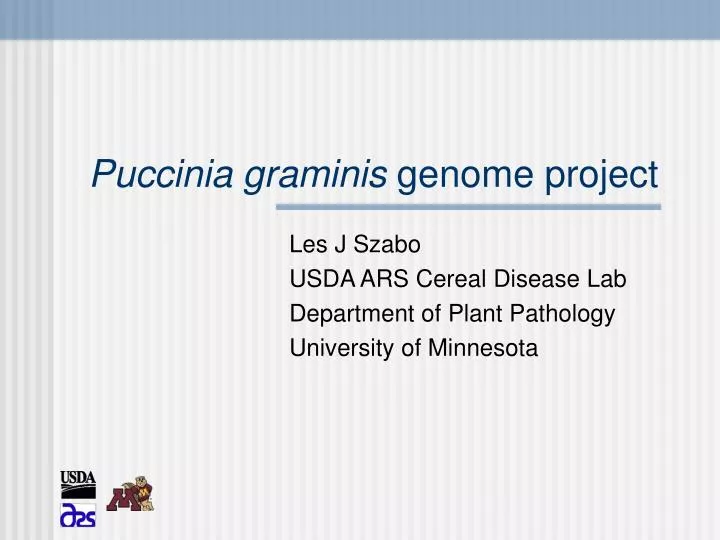 puccinia graminis genome project