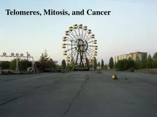 Telomeres, Mitosis, and Cancer