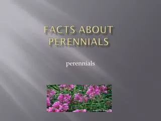 Facts about perennials