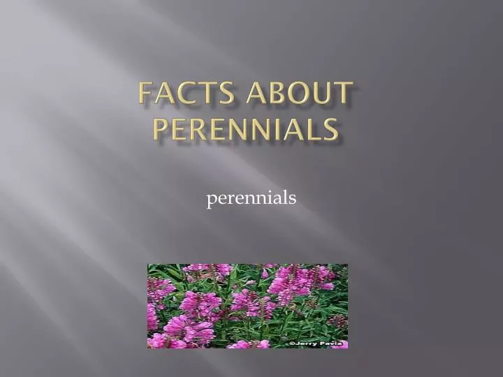 facts about perennials
