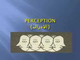 Perception (???????)