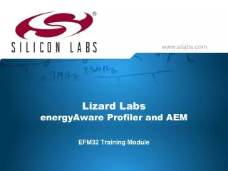 Lizard Labs energyAware Profiler and AEM