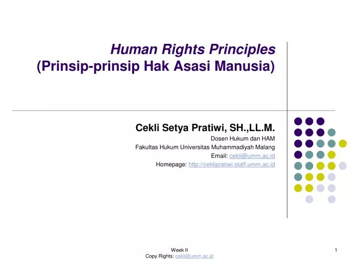 human rights principles prinsip prinsip hak asasi manusia