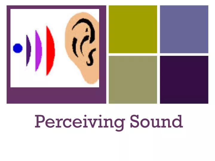 perceiving sound