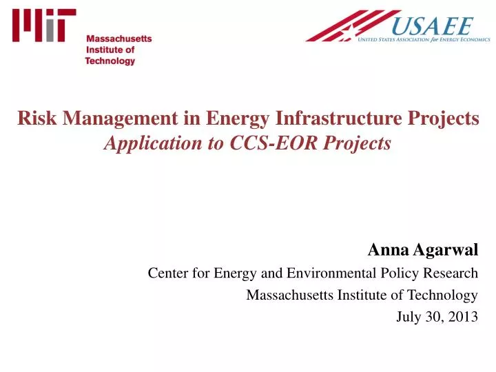 risk management in energy infrastructure projects application to ccs eor projects