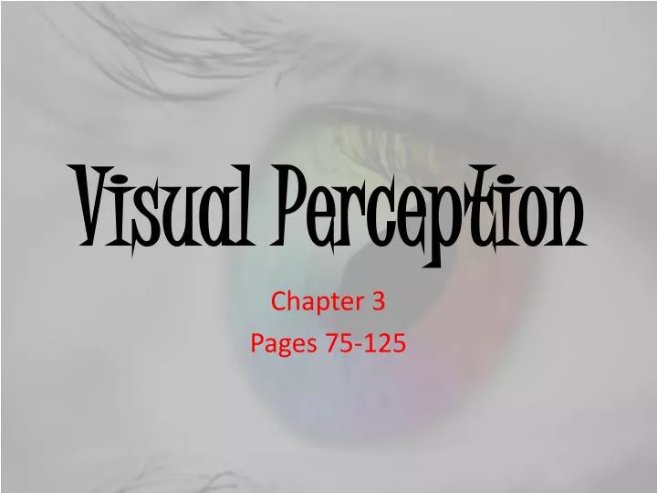 visual perception