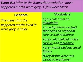 Event #1 : Prior to the industrial revolution, most peppered moths were grey. A few were black.