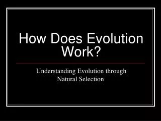 How Does Evolution Work?