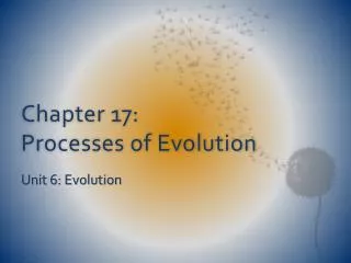 Chapter 17: Processes of Evolution