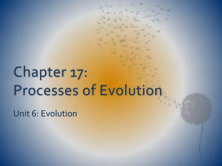 chapter 17 processes of evolution