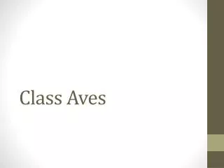 class aves