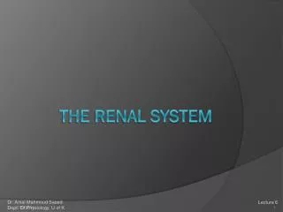 The Renal System