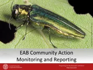 EAB Community Action Monitoring and Reporting