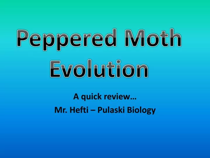 a quick review mr hefti pulaski biology