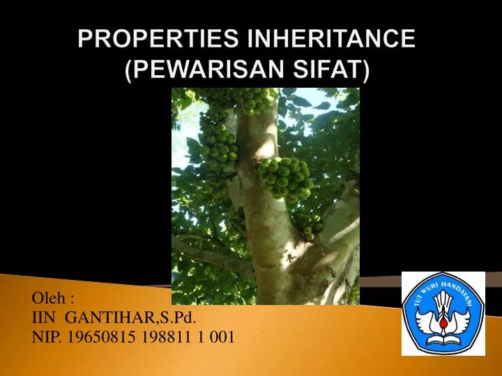 properties inheritance pewarisan sifat