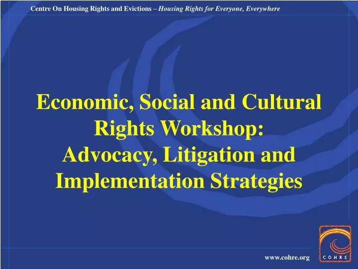 economic social and cultural rights workshop advocacy litigation and implementation strategies