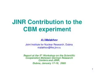 JINR Contribution to the CBM experiment