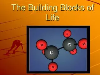 The Building Blocks of Life