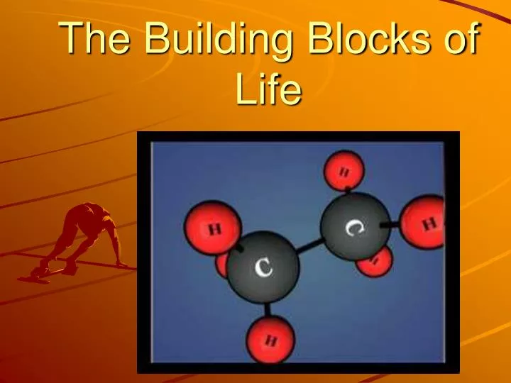 the building blocks of life