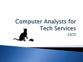Computer Analysts for Tech Services