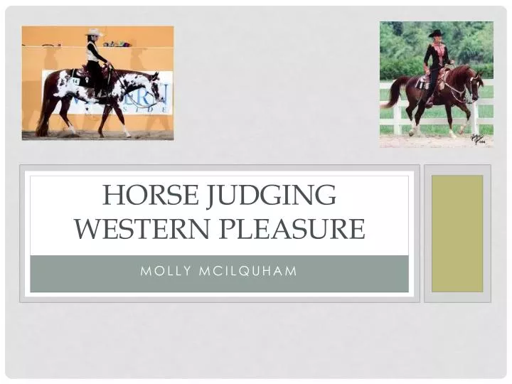 horse judging western pleasure