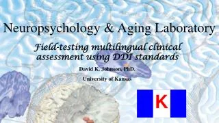 Field-testing multilingual clinical assessment using DDI standards David K. Johnson, PhD.