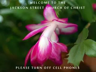 WELCOME TO THE JACKSON STREET CHURCH OF CHRIST