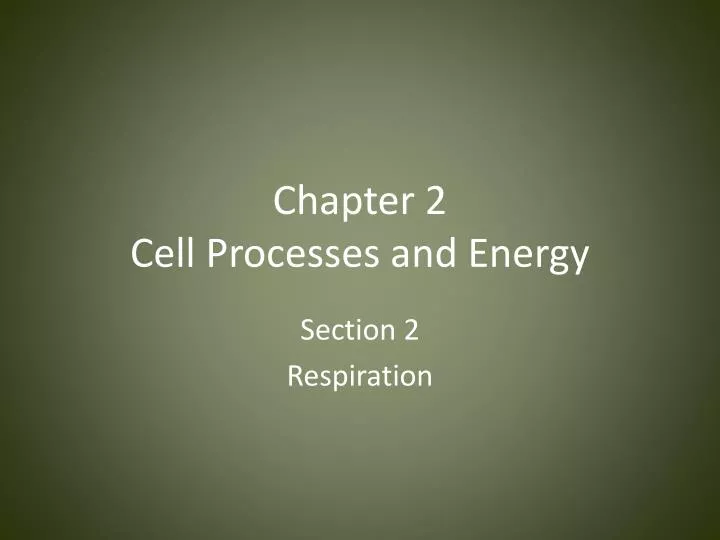 chapter 2 cell processes and energy
