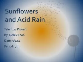 Sunflowers and Acid Rain