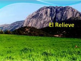 el relieve