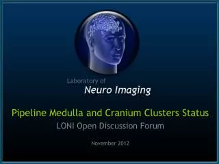 Pipeline Medulla and Cranium Clusters Status LONI Open Discussion Forum November 2012