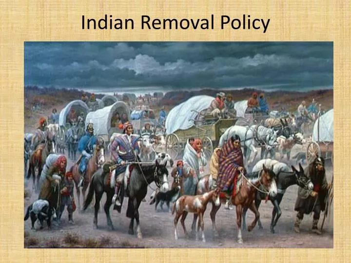 indian removal policy