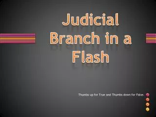 Judicial Branch in a Flash