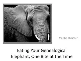 Eating Your Genealogical Elephant, One Bite at the Time