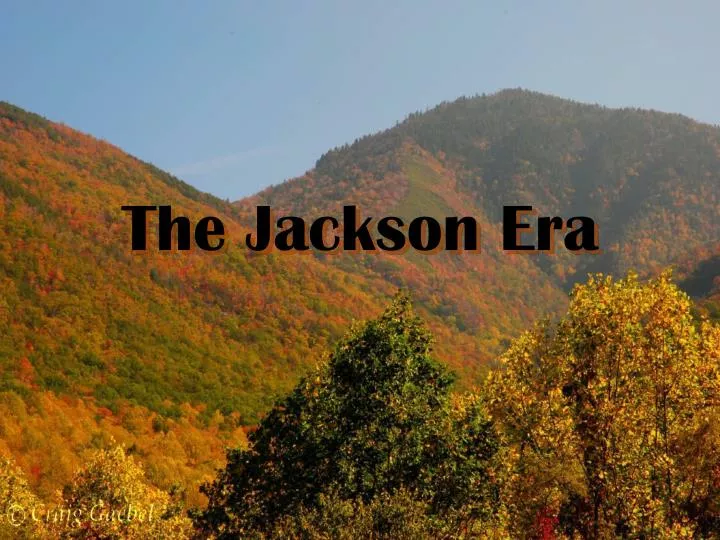 the jackson era
