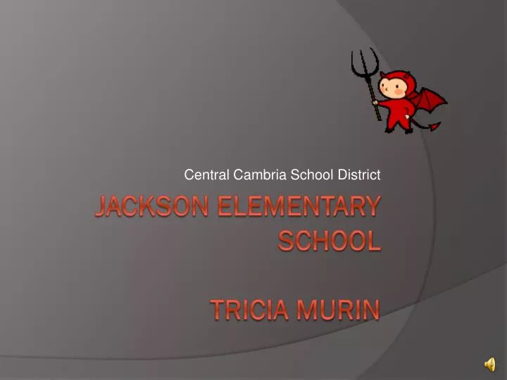 central cambria school district