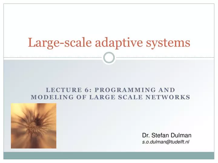 large scale adaptive systems