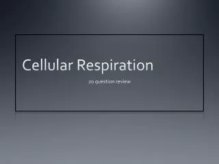 Cellular Respiration