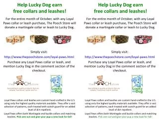 Help Lucky Dog earn f ree collars and leashes!
