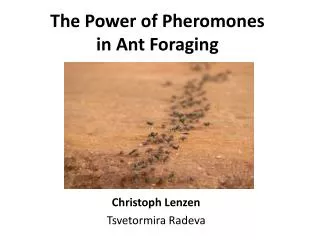 The Power of Pheromones in Ant Foraging