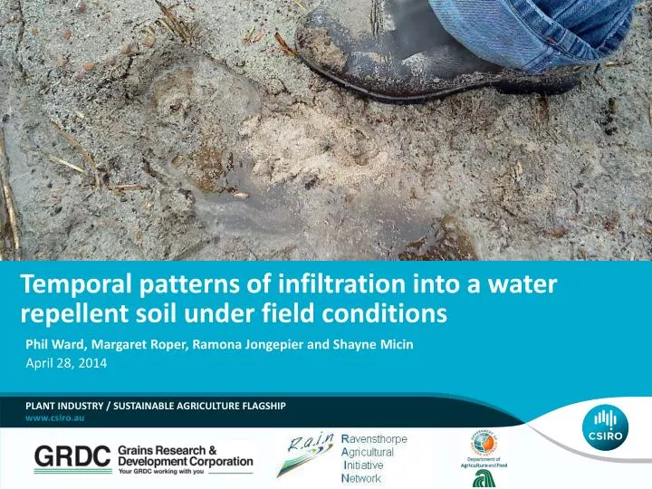 temporal patterns of infiltration into a water repellent soil under field conditions