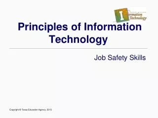 principles of information technology
