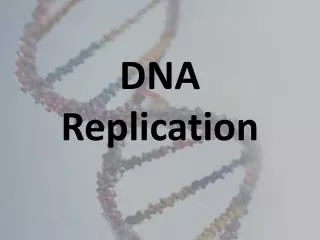 dna replication