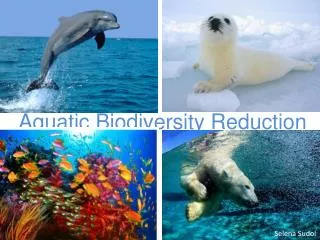 Aquatic Biodiversity Reduction