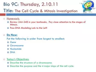 Bio 9C: Thursday, 2.10.11 Title: The Cell Cycle &amp; Mitosis Investigation