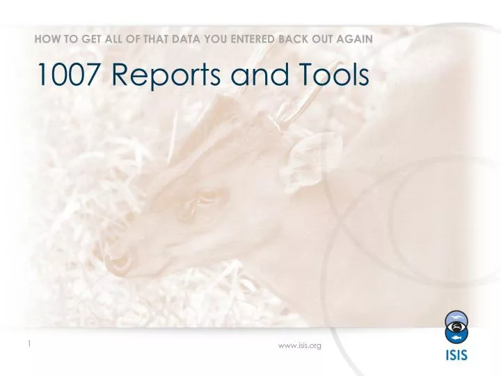1007 reports and tools