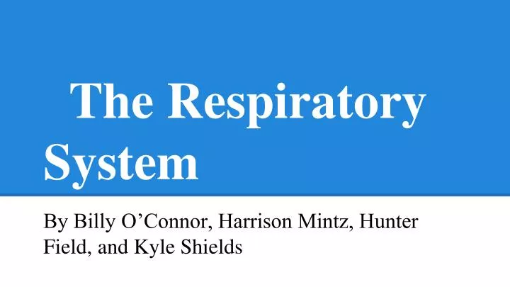 the respiratory system