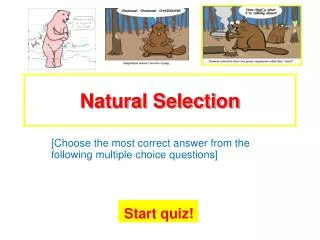 natural selection