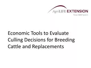 Economic Tools to Evaluate Culling Decisions for Breeding Cattle and Replacements