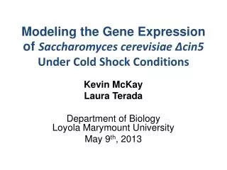Modeling the Gene Expression of Saccharomyces cerevisiae ?cin5 Under Cold Shock Conditions